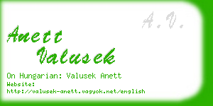 anett valusek business card